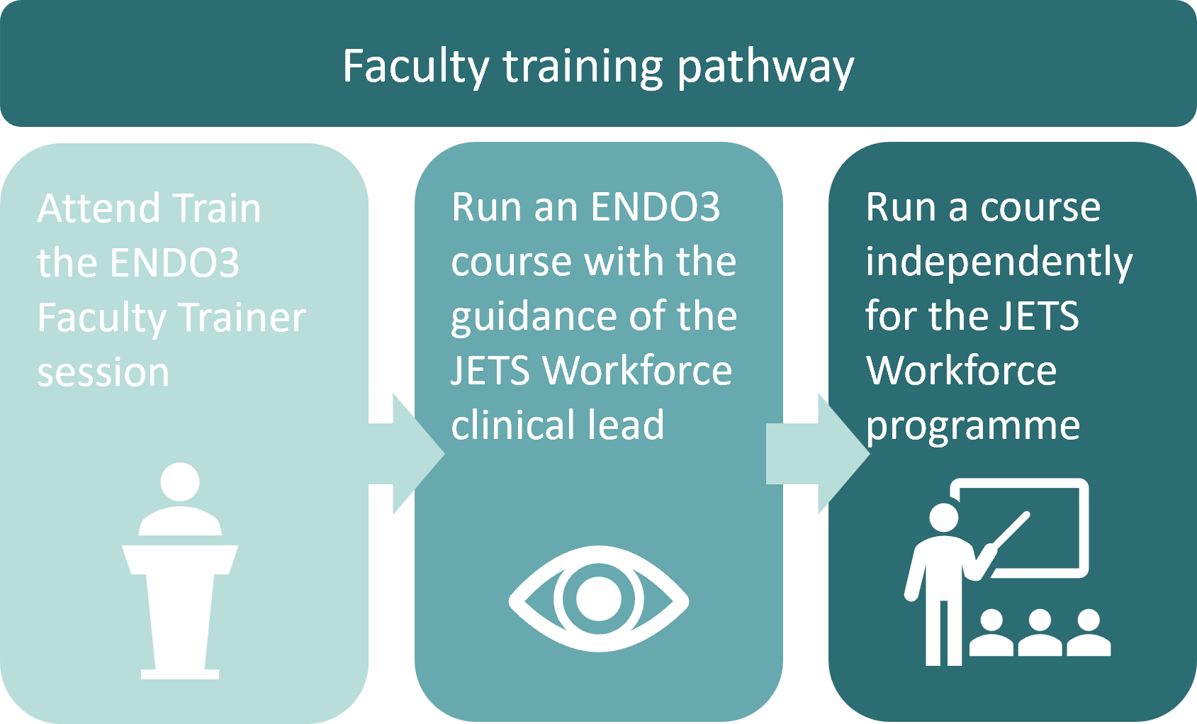 Faculty training pathway overview